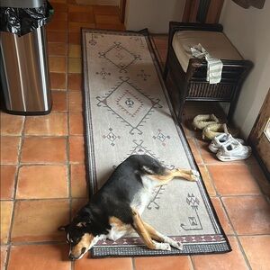 Ruggable 2.5x10 runner